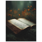 03064bab-2cfd-4ca1-97f5-80acac3bb522