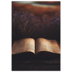 078b8ab1-fa6b-475c-bf92-63756960f535