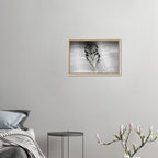 152dbc9f-c3f8-48c4-88b7-05672e71e02b