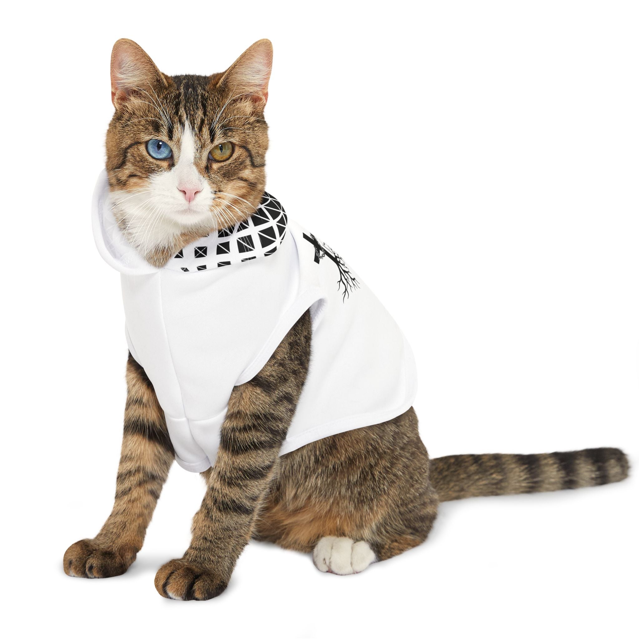 Pet Hoodie — "Jesus Is King"