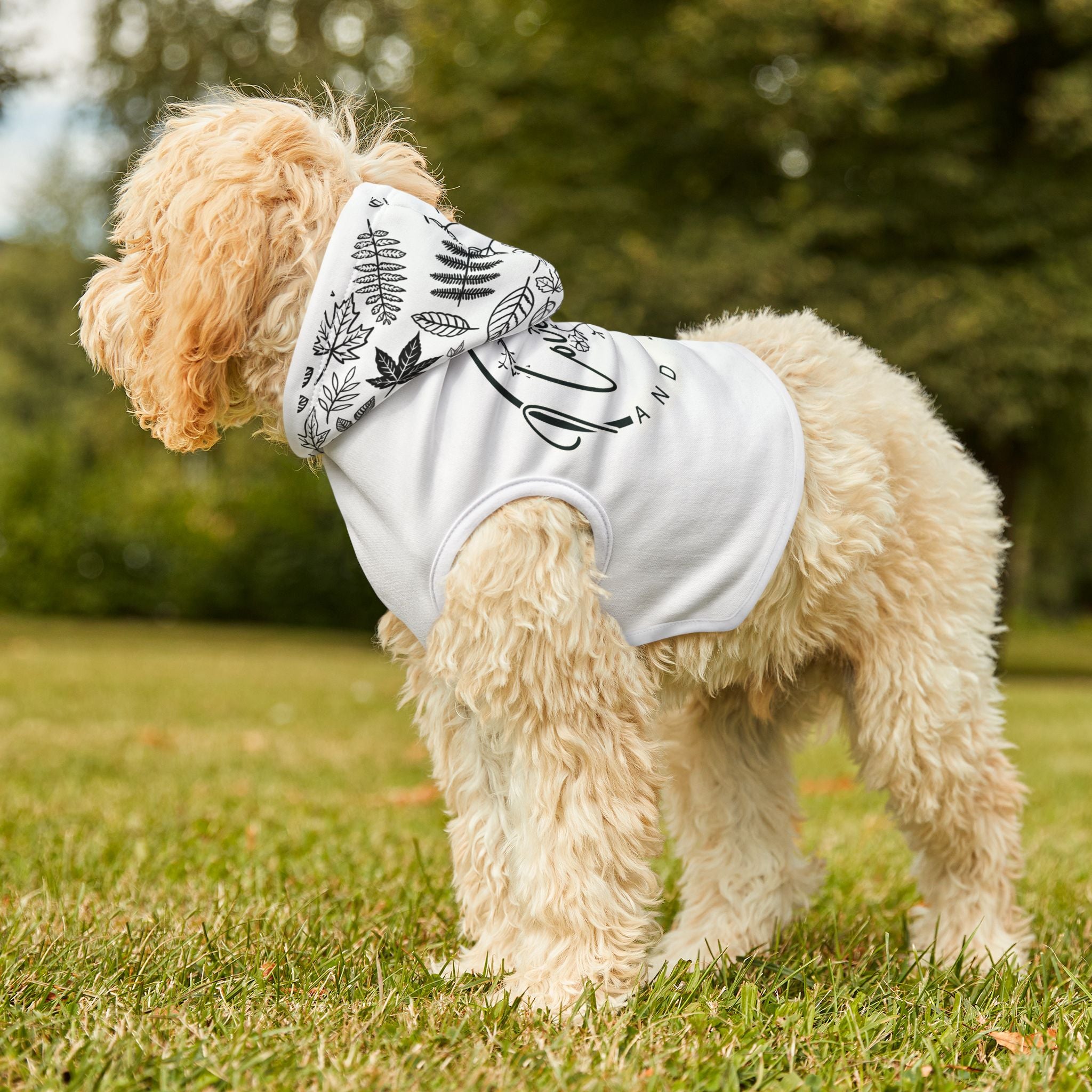 Pet Hoodie — "Love Pets and Jesus"