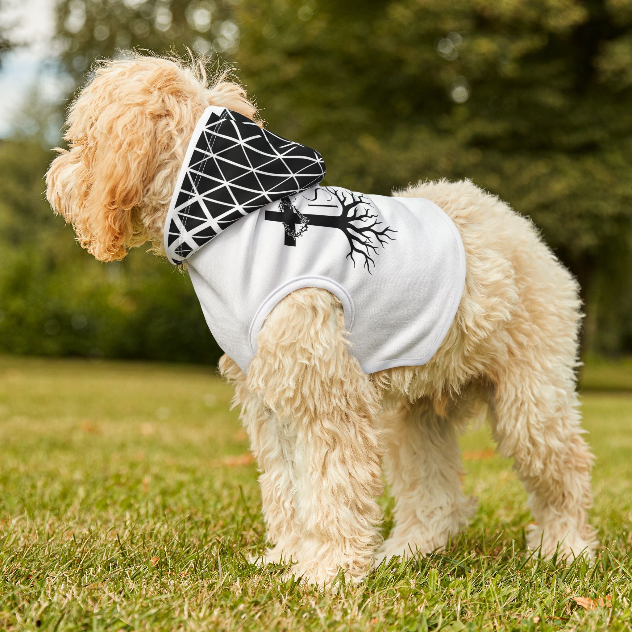 Pet Hoodie — "Jesus Is King"