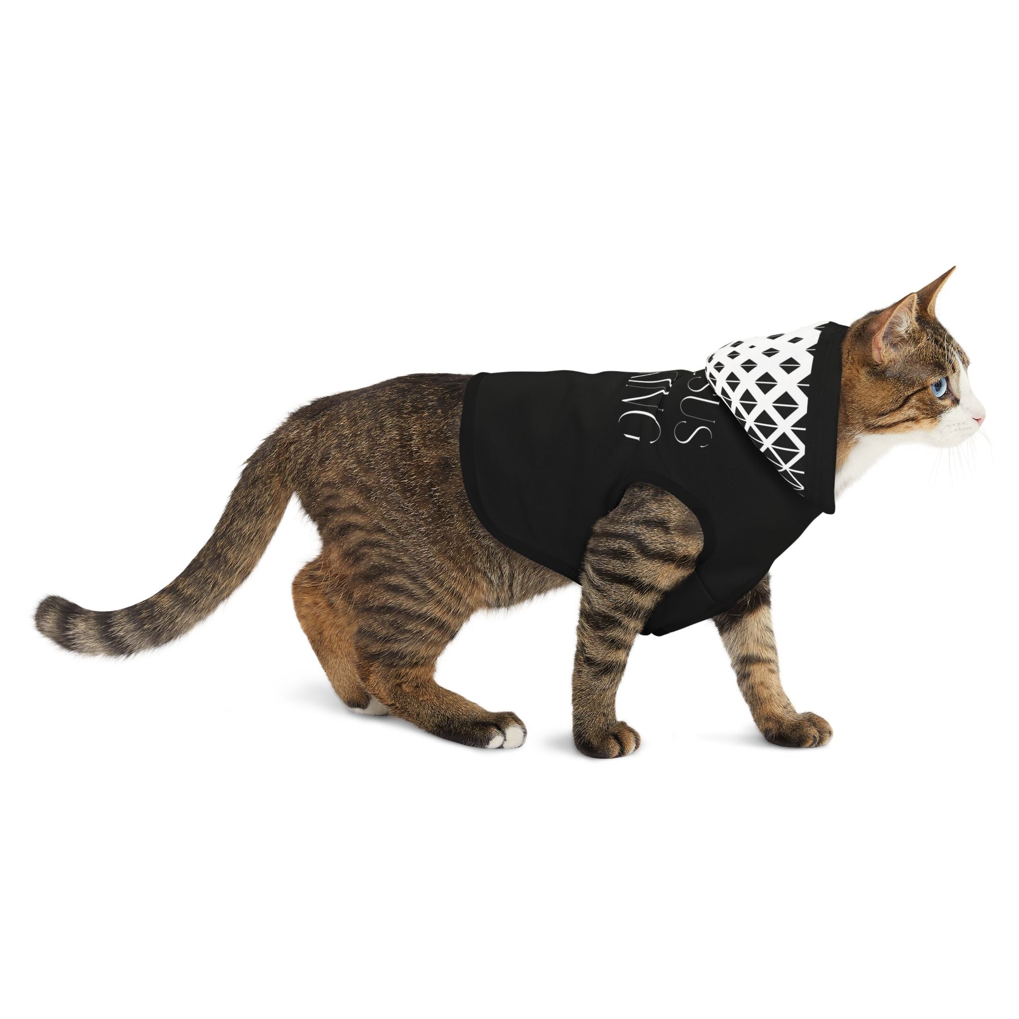 Jesus Is King Pet Hoodie