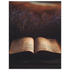 18fa5a2f-9b0b-4a62-a72a-9b178e353bce