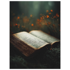 21393947-4b5b-4b9a-89ef-756f3c78cabc