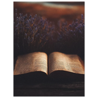 25dbe3b9-c6b1-4d06-8226-99c7d7f5e775