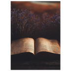 2921cfe4-8aec-42b2-b94b-4433d652b231