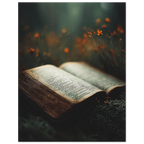 2a00ddf9-4250-401e-a634-a493c8cfdcb2