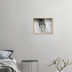 2d80686d-37c2-418b-8943-3eb9cd2b7452