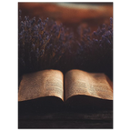 371ecfde-b629-4a04-bf7a-2e9e990d0cf2