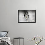 44e6cc68-5b4f-4a34-9101-88d0c8dfb54c