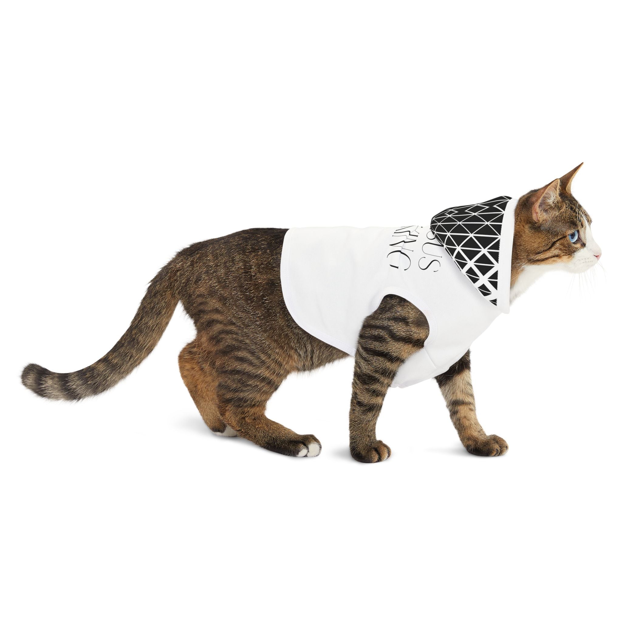 Pet Hoodie — "Jesus Is King"