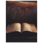 6f3e9cb0-f0a7-457e-bc4e-21cc652ead4a