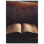 70aea6bc-0dc5-4ec4-b291-707c6c0b8821