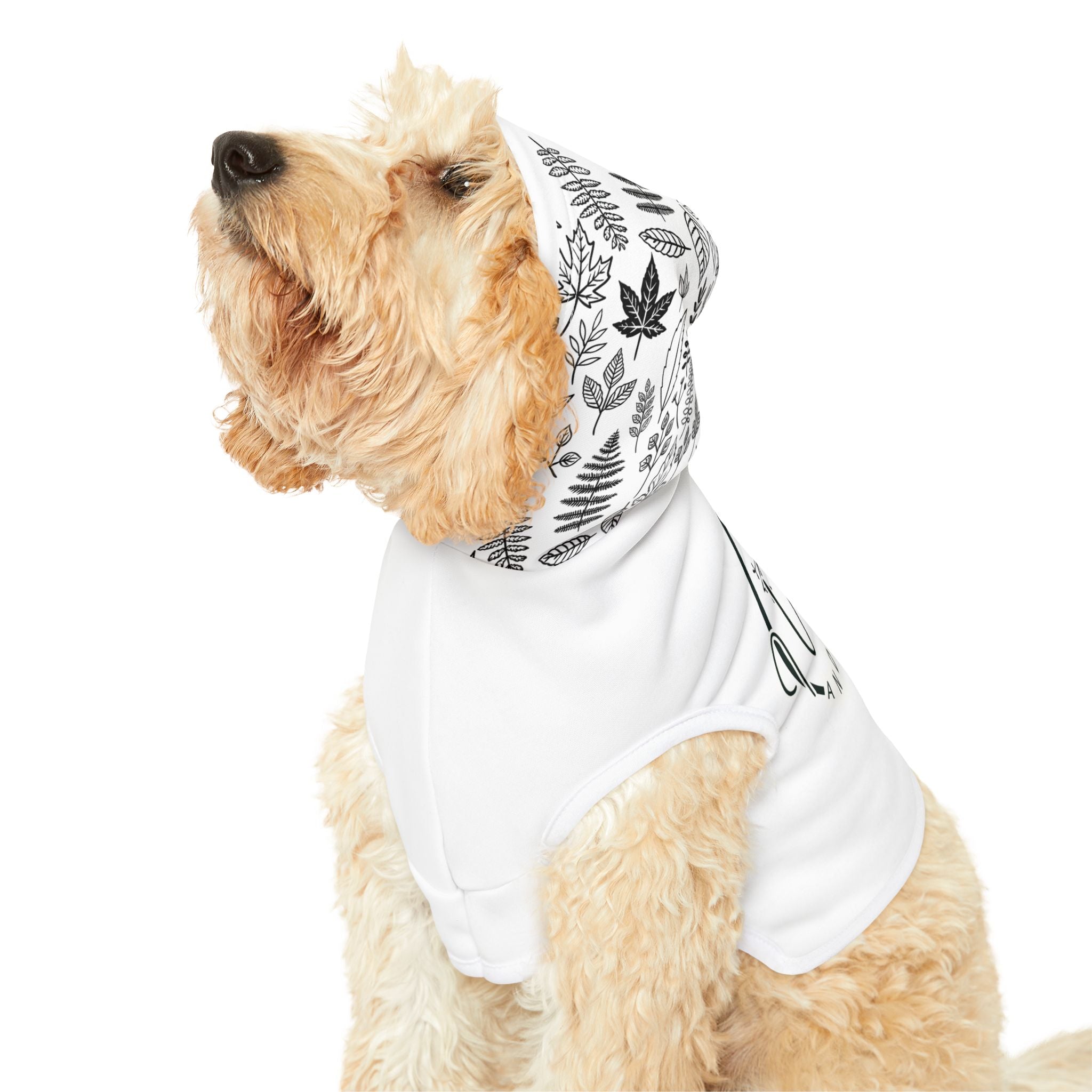 Pet Hoodie — "Love Pets and Jesus"