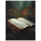 86b7cd0d-a63a-4cf9-aefc-ccd0268b8732