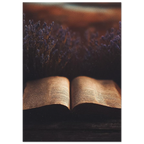 8bbdf494-9251-4764-8ca9-f5c79062659b