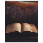 966dca3e-220d-4051-bfcd-d752cbab3b30