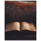 9b468e20-f2c4-4eca-8c6a-77d862cb5e90