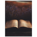 a23c6eca-7154-40d6-b5bb-21c1338831f3