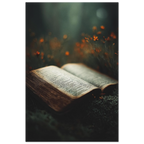 c2099597-c2e1-4175-a362-6b9bce764457