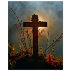 c359f717-3af6-48dc-b2e5-feaebac18d27