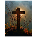 cb5c81e6-ab05-49f4-914d-86c444597667