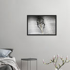 d0d7dff4-f856-4c9b-aa49-af4e9d008a94