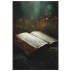 dbc5e79c-e913-4920-bd3c-41ef9fa072ba