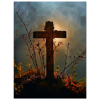 dd691ef1-6814-4cc7-aca3-cbda4fe9888b